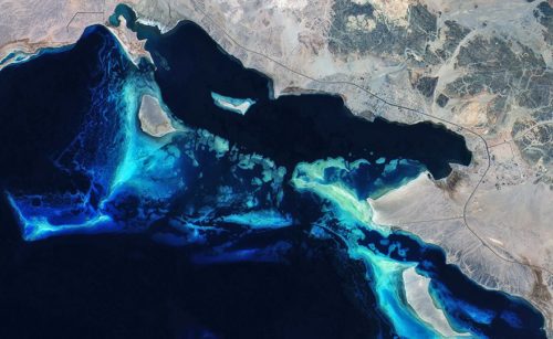  
				 Korallenriffe vor der Küste Saudi-Arabiens © Copernicus Sentinel data (2015)/ESA 
				